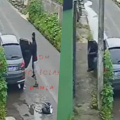 execu&ccedil;&atilde;o em feira