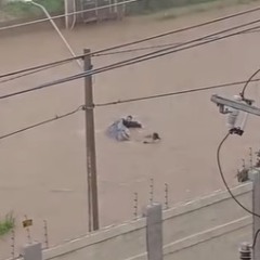 Foto: Reprodu&ccedil;&atilde;o