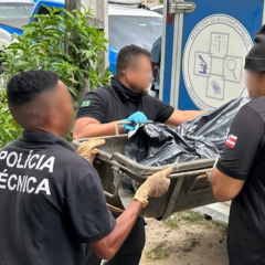 irm&atilde;os gemeos