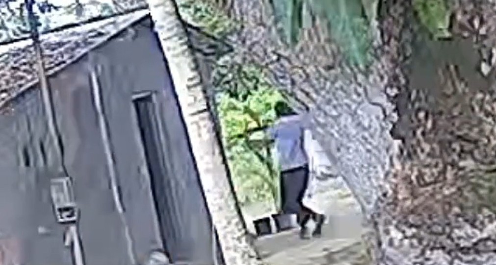 irmãos presos por execução irmãos presos por execução