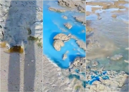 Imagem: Reprodução/Redes sociais