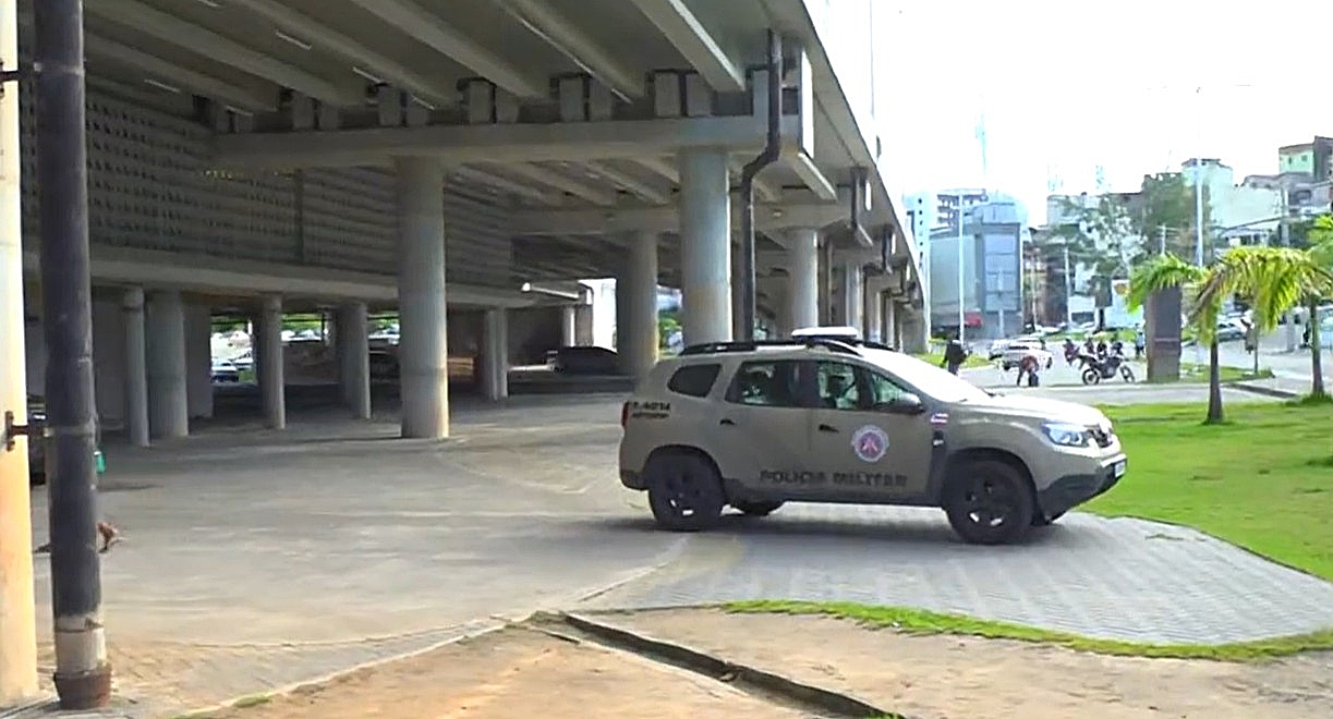 ônibus voltam a circular